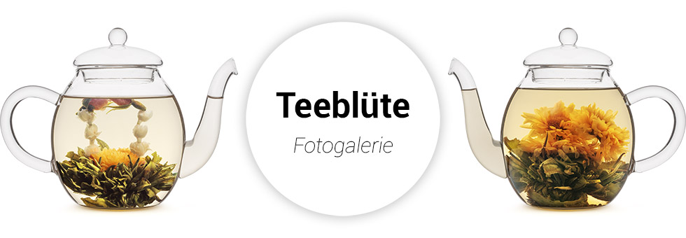 Teeblüte Onlineshop: Webdesign & Produktfotografie Berlin
